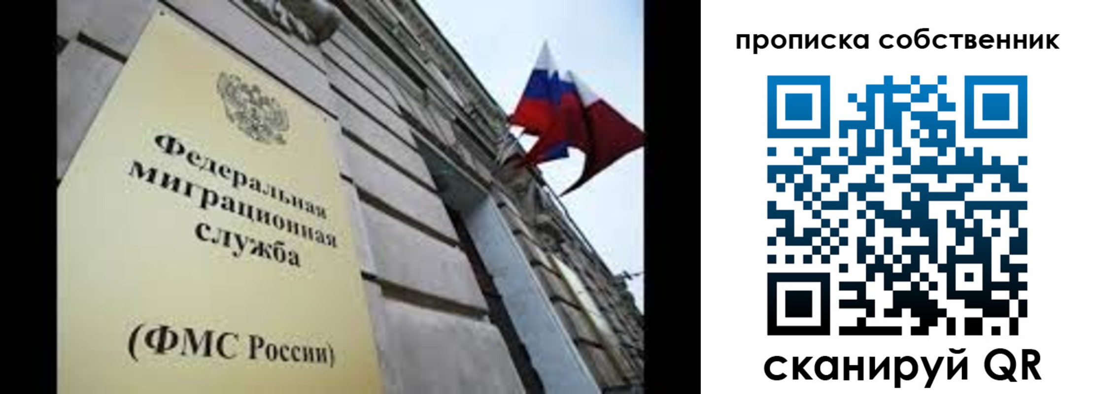 прописка гарантия в Ворсме